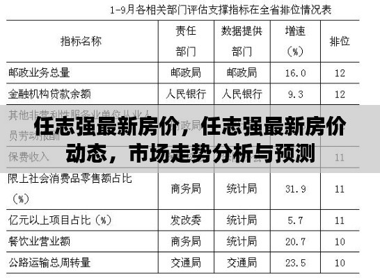 任志强最新房价动态及市场走势分析与预测