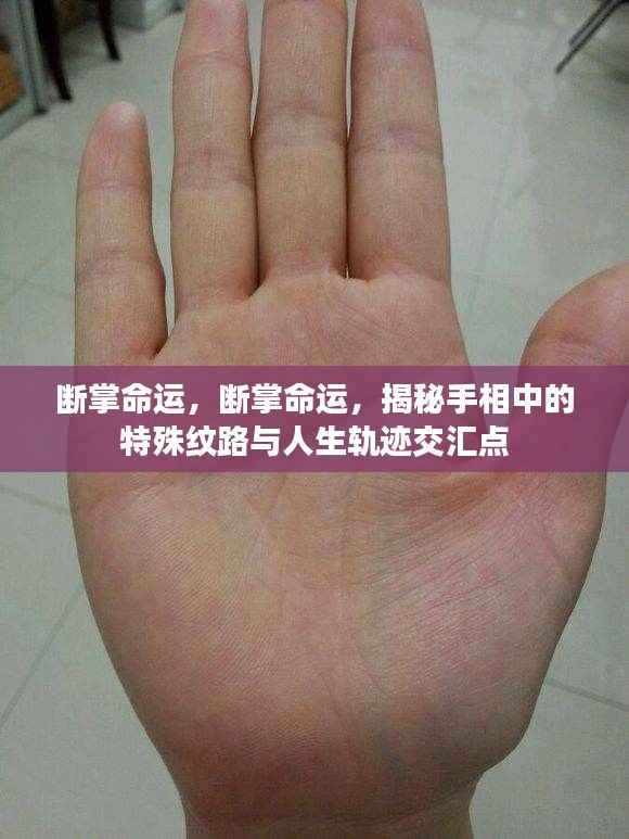 走马章台 第6页