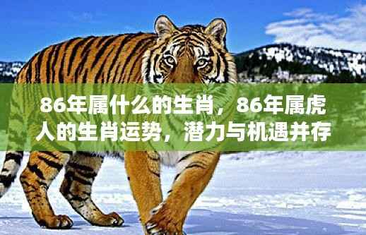 将陋就简 第5页