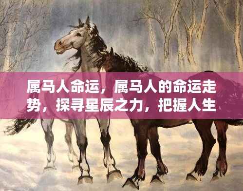 属马人的命运走势，探寻星辰之力，把握人生轨迹