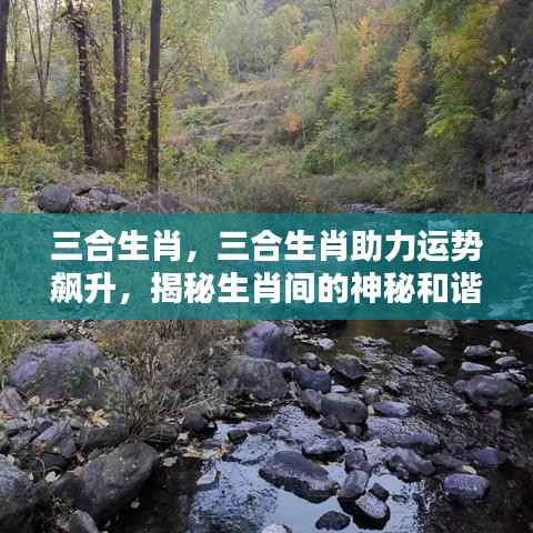 司空见惯 第6页