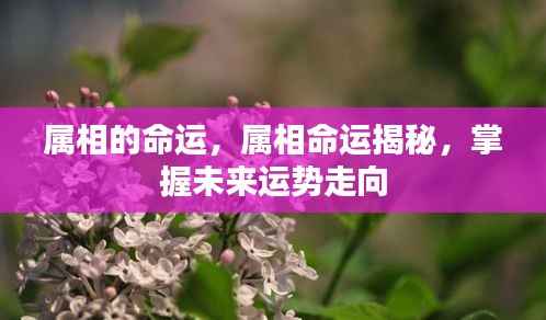 择善而从 第6页