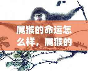 神采奕奕 第5页