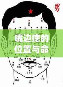 利官近贵 第5页