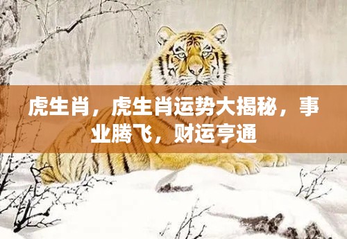 虎生肖运势揭秘，事业腾飞，财运亨通之道