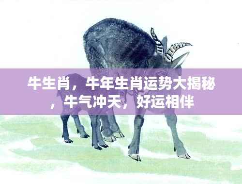 牛年生肖运势揭秘，牛气冲天，好运连连相伴