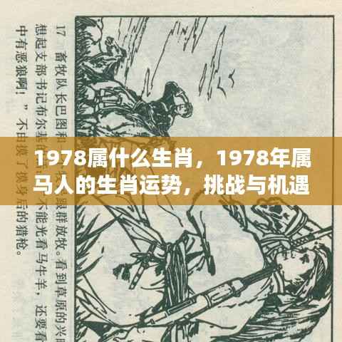 1978年属马人的生肖运势，挑战与机遇并存的一年，运势解析及挑战机遇概述