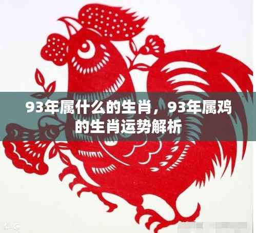 93年属鸡的生肖运势全面解析