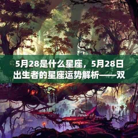 5月28日星座运势解析，双子座与坚韧意志的碰撞，探寻命运之路的指引之光