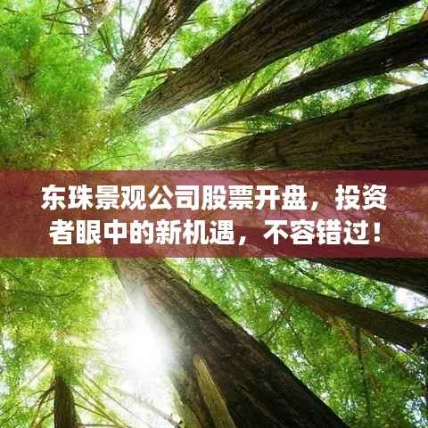 东珠景观公司股票开盘，投资者眼中的新机遇，不容错过！