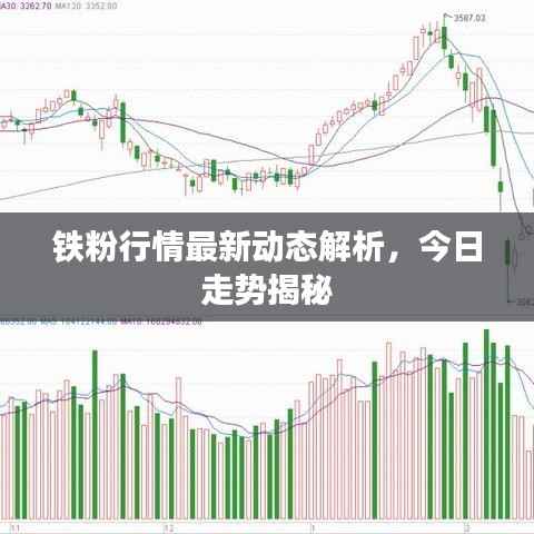 铁粉行情最新动态解析，今日走势揭秘