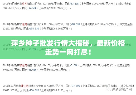 行疾如飞 第4页